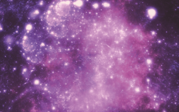 Cat-Man-background (1)